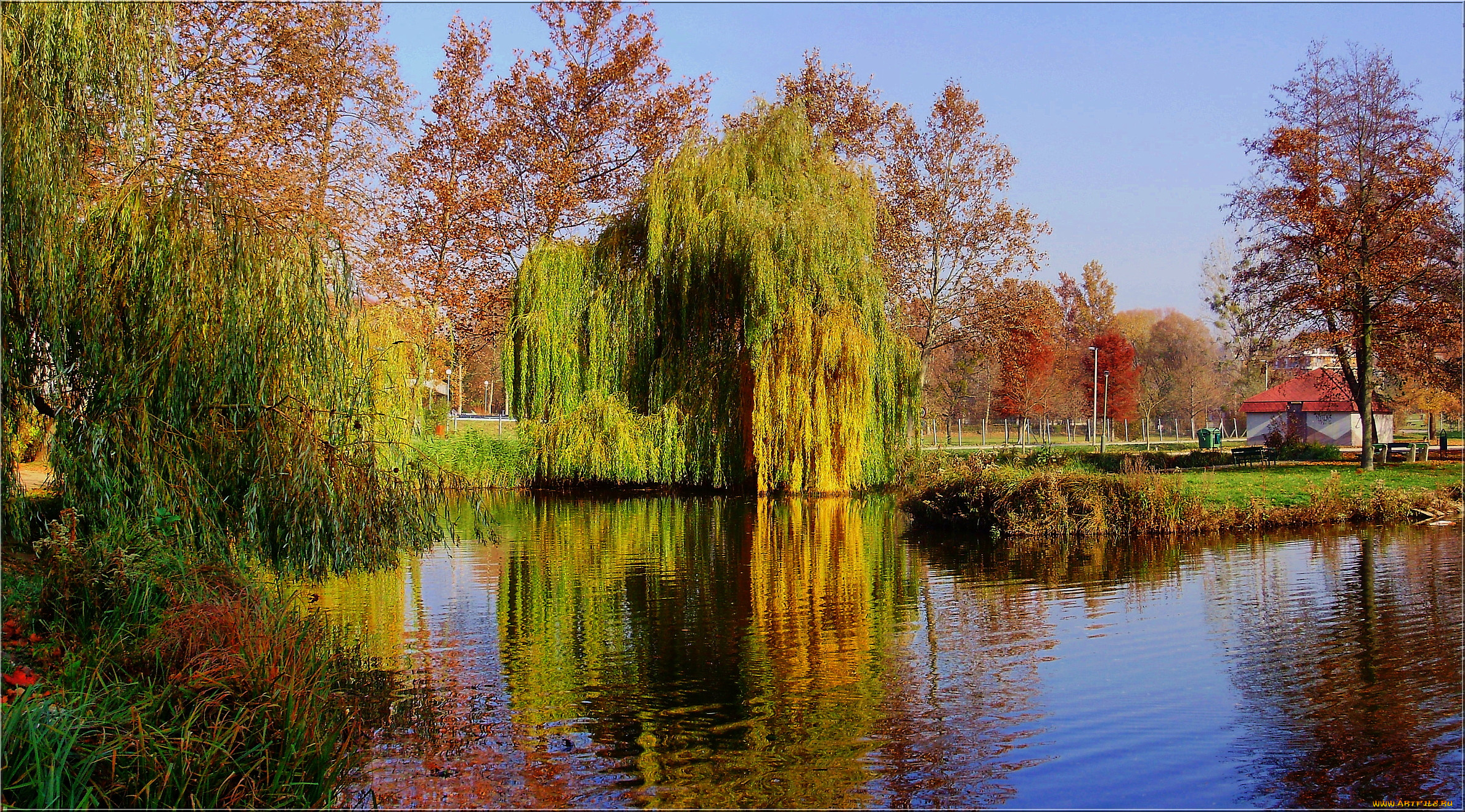 Парк Борисовские пруды осенью